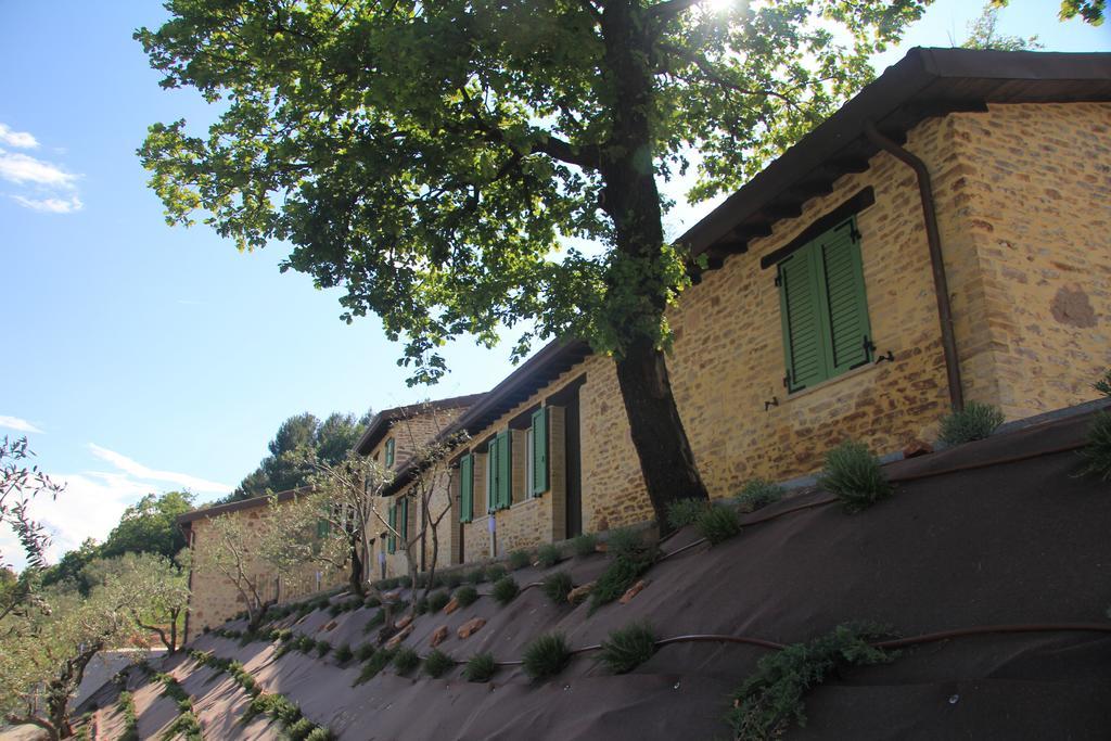 Hostal Pekko Spello Exterior foto